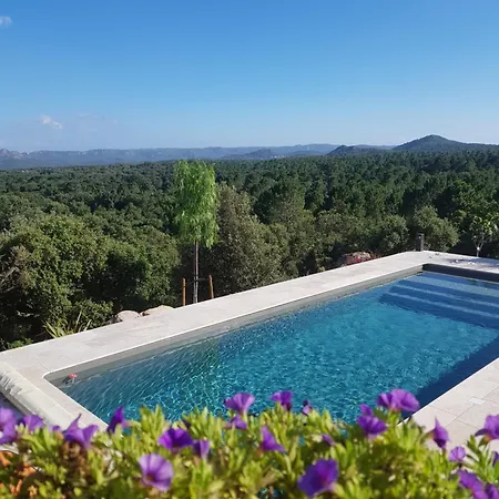 Tasche-vecchio ヴィラ